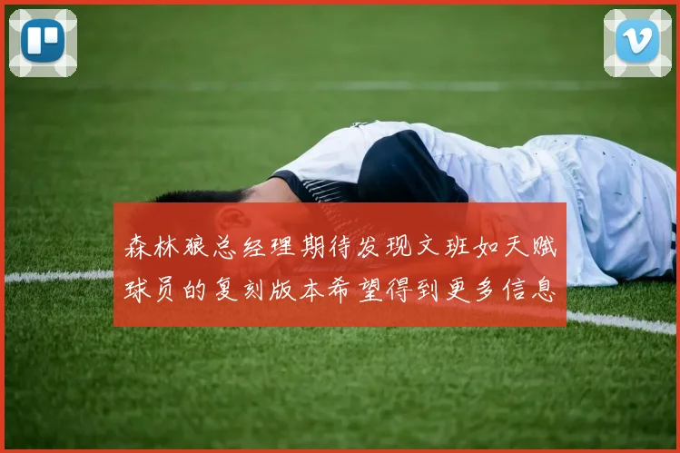 森林狼总经理期待发现文班如天赋球员的复刻版本希望得到更多信息