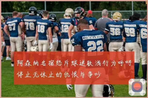 阿森纳名宿怒斥球迷肤浅行为呼吁停止无休止的仇恨与争吵